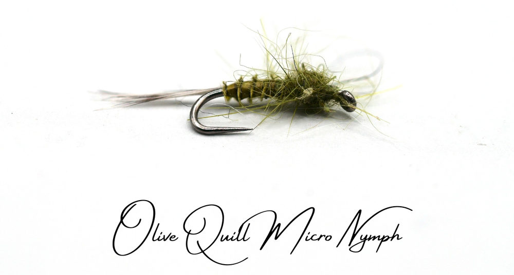 The Advantage of Small Unweighted Nymphs - Summer Low Water Tactics