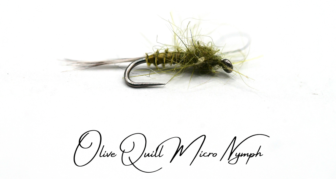 The Advantage of Small Unweighted Nymphs - Summer Low Water Tactics