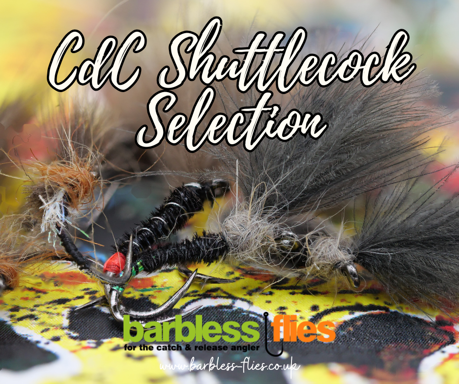 Straight from the 'Ass of a Duck' - CdC Shuttlecock Emergers