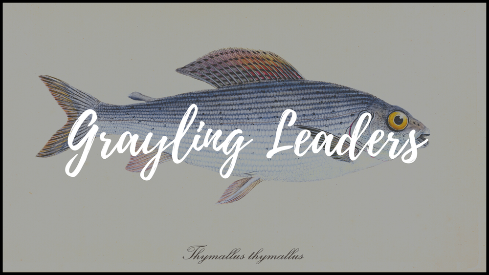 Grayling Leaders - Grab a brew, this could be a long one!