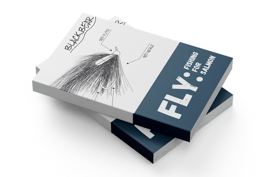 FLY: The Next In Our Book Series - Published Today