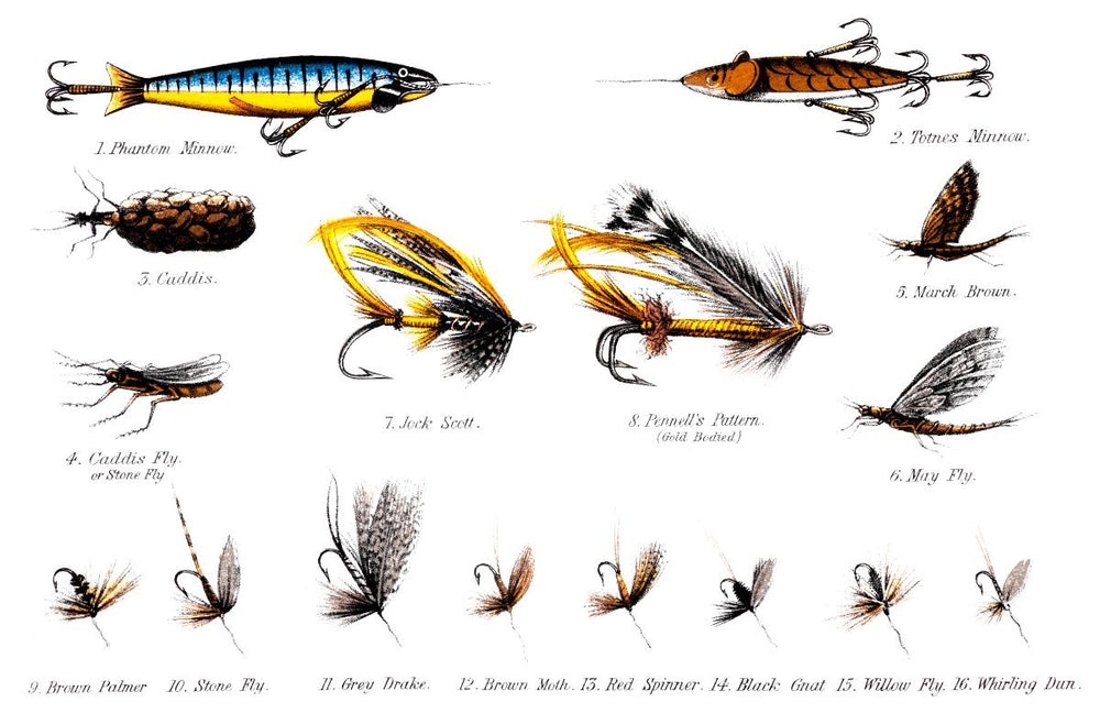 A-lure-ing Early Season Fish