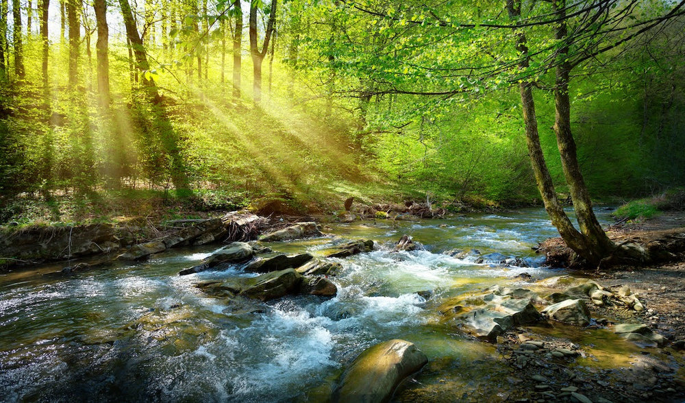 Fleeting Fly Fishing Fame - We Love An Alliteration