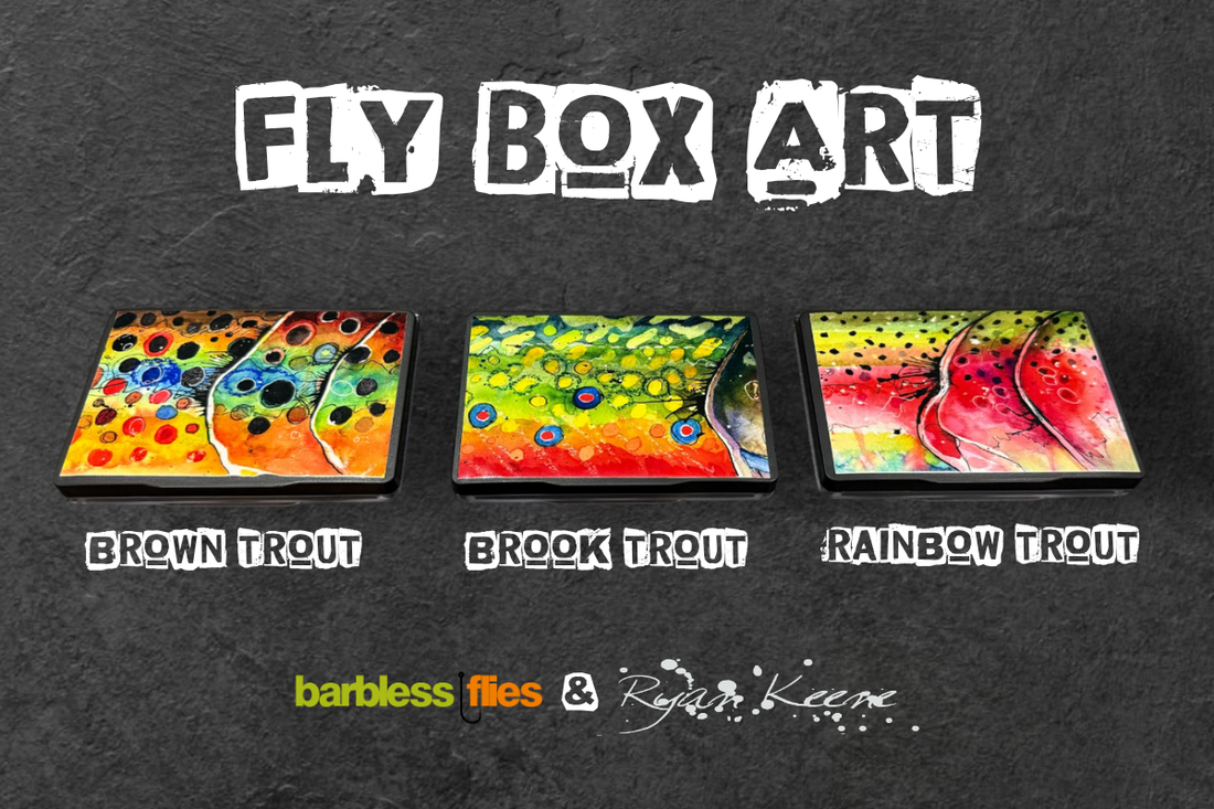 Ryan's been at it again - and my fly box problem just got worse!