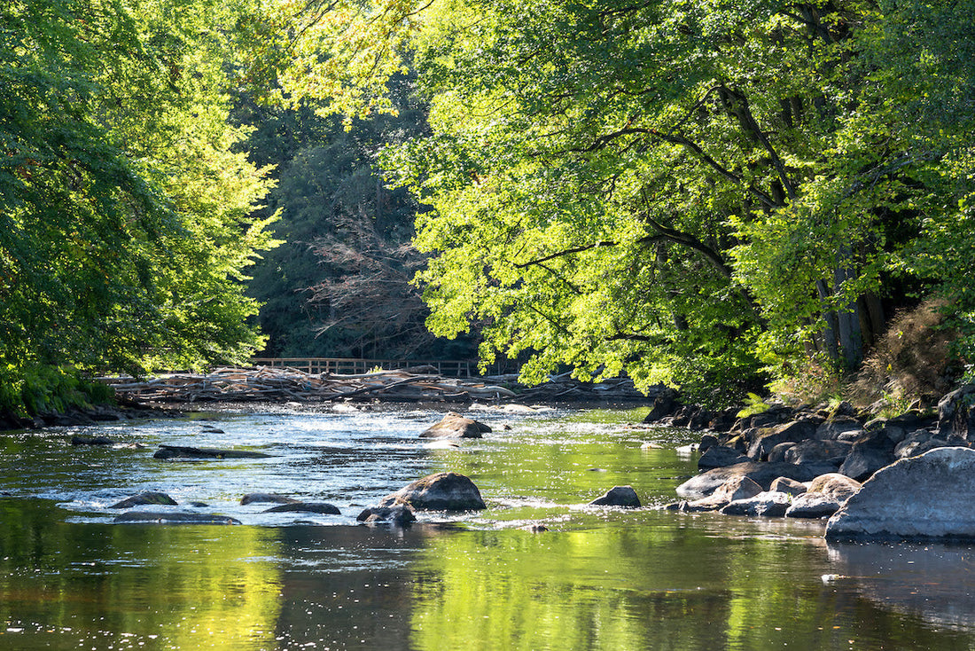 Watercraft: The Art of Reading Water in Summer