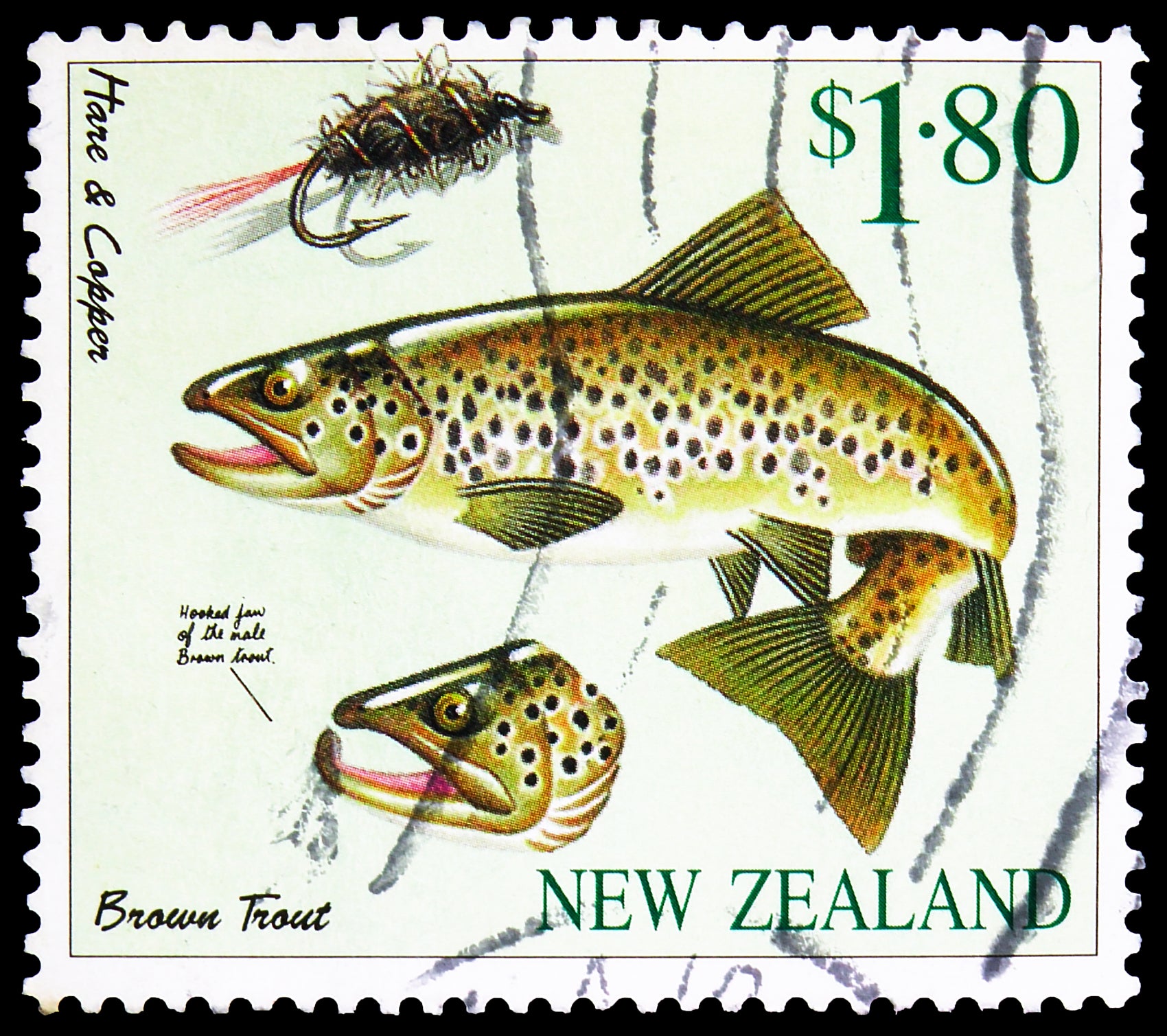 Stillwater Trout Dry Fly Selections