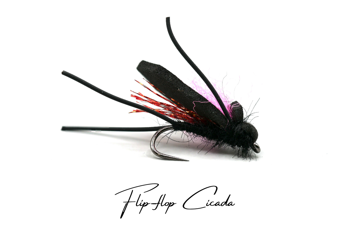 The Cicada - Collection No. 002