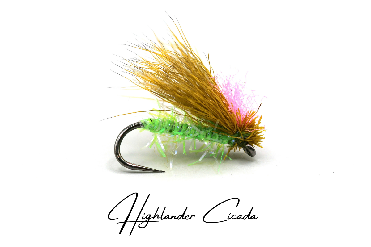 The Cicada - Collection No. 002