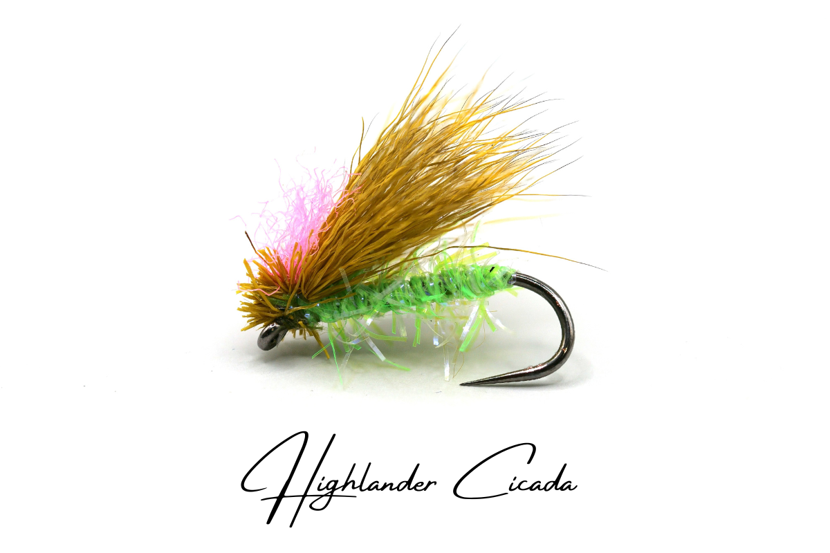 The Cicada - Collection No. 002