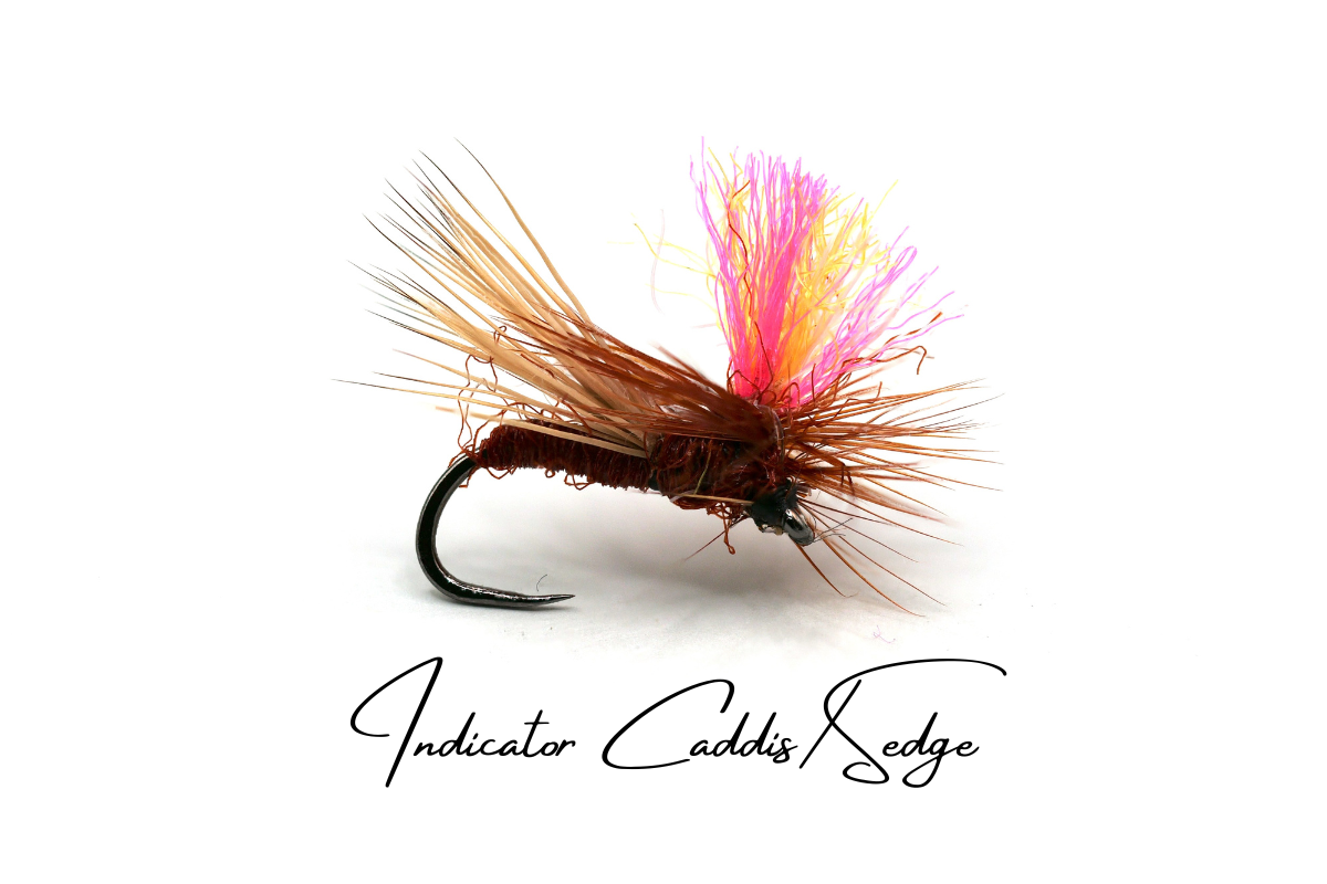 The NZ Caddis Box