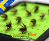 The Cicada - Collection No. 002