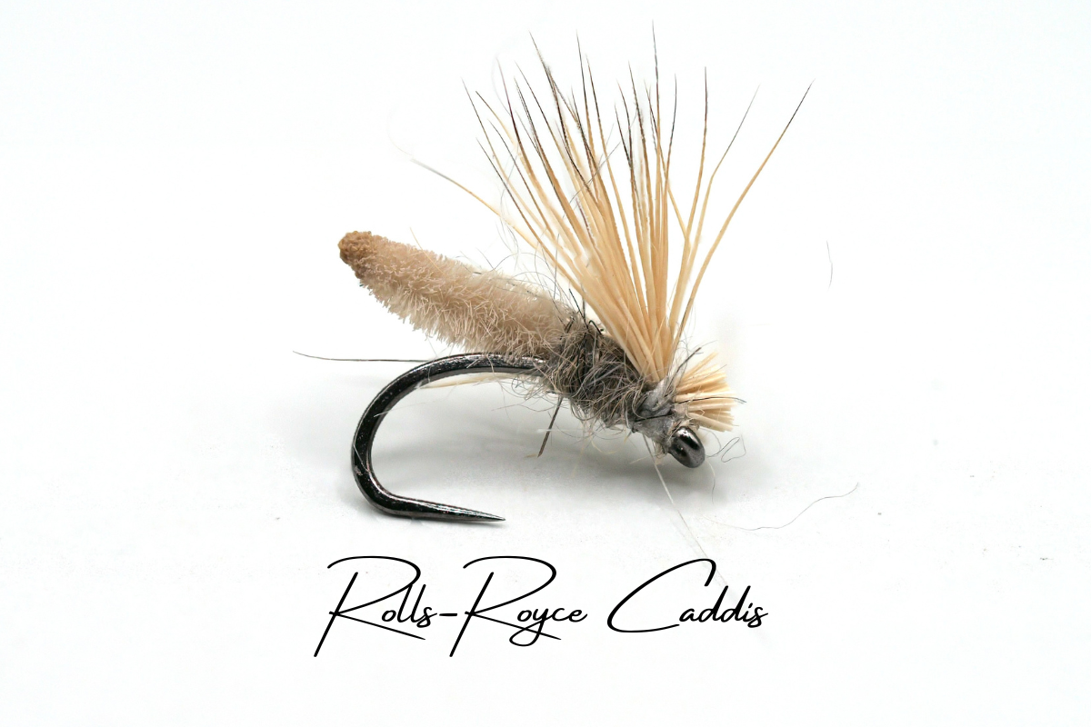 The NZ Caddis Box