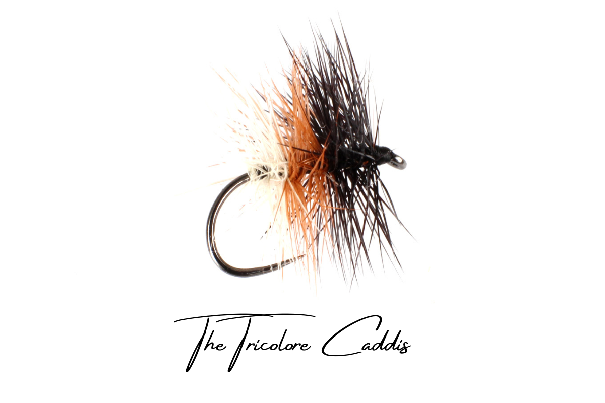 The NZ Caddis Box